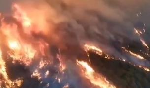 ТВ: Природные пожары возникли в Анталье, их тушат с земли и воздуха