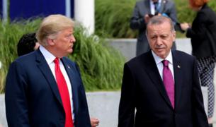 Эрдоган намерен обсудить с Трампом торговлю, инвестиции, оборону и региональные вопросы