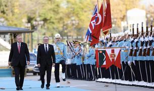 Эрдоган обсудил со Стармером пути урегулирования украинского конфликта