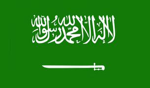 Турция и Саудовская Аравия провели консультации по второму этапу договорённостей по Газе