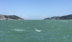 В Мраморном море найдена кабина пассажирского самолёта, потерпевшего крушение 51 год назад