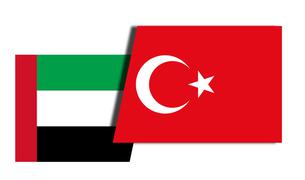 Визит Эрдогана в ОАЭ перенесен из-за состояния здоровья Аль Нахайяна