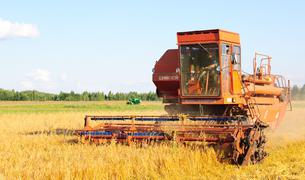 Зерновые договоренности могут стимулировать диалог по урегулированию на Украине