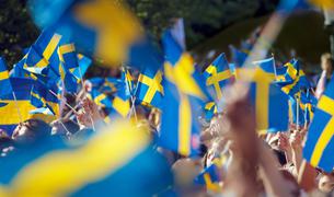Левая партия Швеции и "зеленые" критикуют соглашение Швеции с Турцией по заявке в НАТО