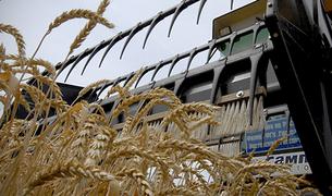 Турция продолжает консультации с ООН по российской части зерновой сделки