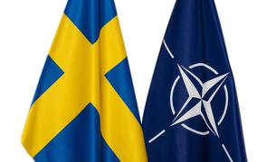 Эрдоган вновь заявил, что Турция не станет одобрять членство Швеции в НАТО