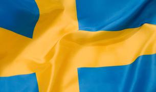 Швеция ждёт объяснений от Турции из-за недопуска шведского наблюдателя на выборы