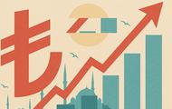 Инфляция в Турции - 31,53%: годовая пауза закончилась