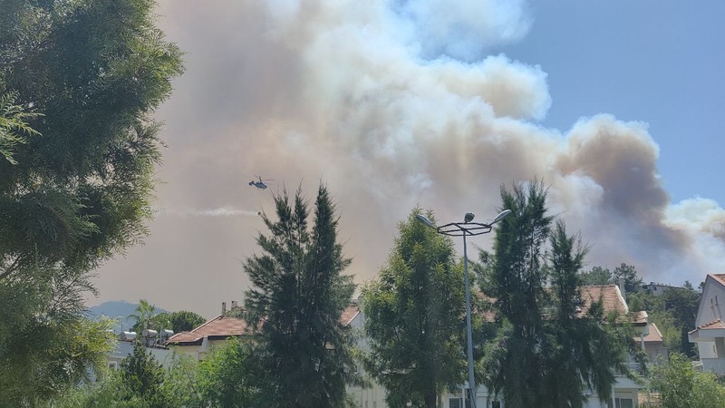 На юге Турции бушуют лесные пожары: задействованы почти тысяча спасателей
