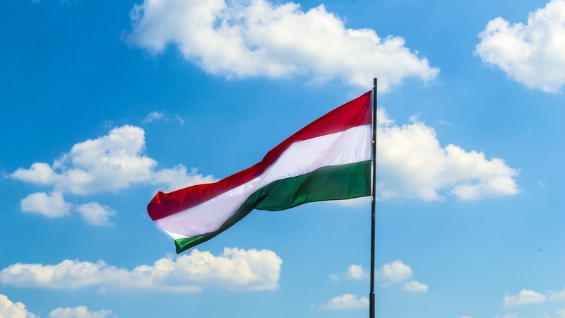 В Венгрии прошли испытания турецких боевых дронов