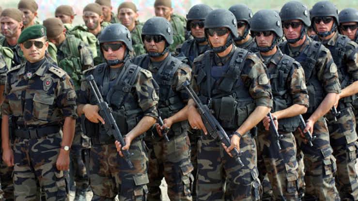 Минобороны: Турция поддержит Дамаск при действиях против СДС