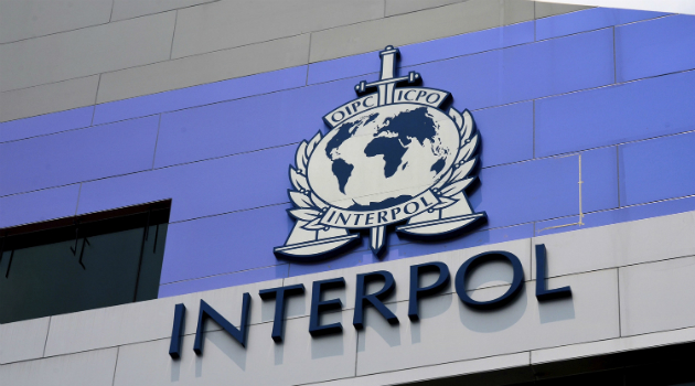 В Турции задержаны 56 разыскиваемых Интерполом лиц, в том числе по заявкам РФ