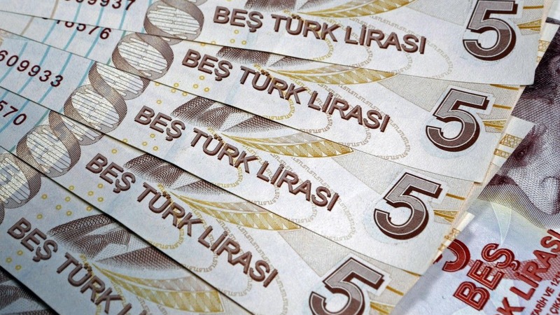 На фоне замедления темпов инфляции турецкая лира выросла до двухнедельного максимума