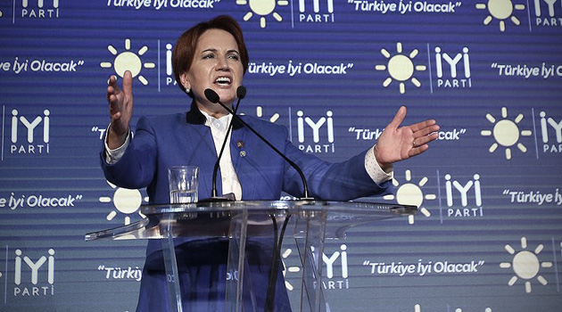 «Новая политическая партия даст жизнь оппозиции Турции»