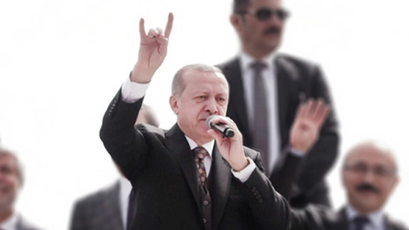 Эрдоган на митинге показал символ тюркских националистов «серых волков» | МК-Турция