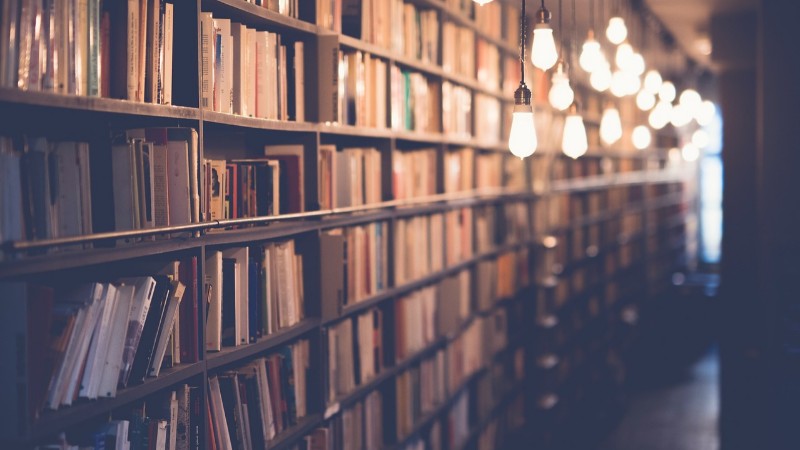 Количество книг в турецких библиотеках в 2017 году достигло 64,5 млн