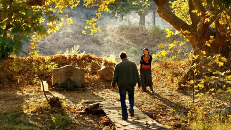 Фильм Джейлана «Дикая груша» стал номинантом на «Оскар» от Турции