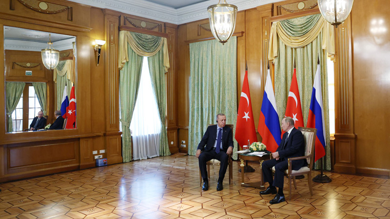 Путин констатировал удвоение российско-турецкого товарооборота в первом квартале