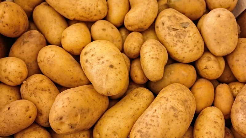 Турция установила беспошлинную квоту на импорт 200 тыс. тонн картофеля