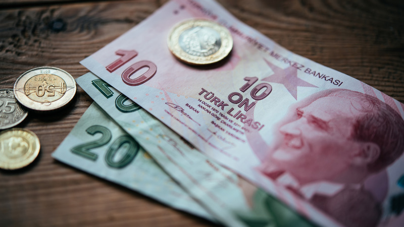 Турецкая лира достигла нового рекордно низкого уровня