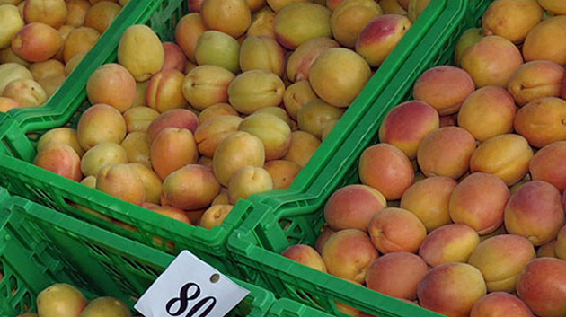 В Малатье начнется сертификация абрикосов