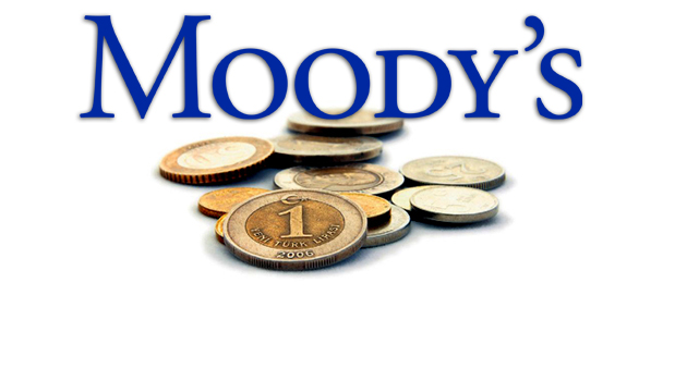 «Не нужно изучать отчеты Moody's: ухудшение турецкой экономики и так очевидно»