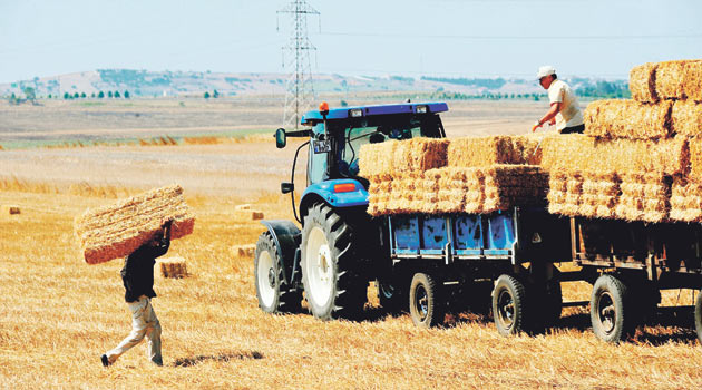 В Турции фермеров снабжают научными видеоматериалами