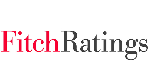 Fitch: В Турции сохраняются опасения, связанные с правопорядком в стране