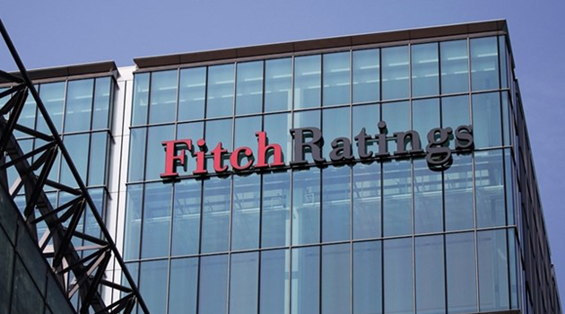 Fitch: Турецким банкам грозит политическая неопределенность