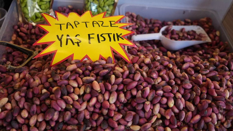 Заморозки и засуха сократили урожай фисташек в Турции на 80%