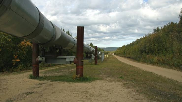 Сийярто: Компании Венгрии и Турции создадут СП для добычи нефти и газа