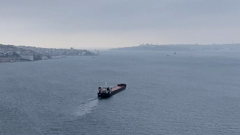 Турция обещает содействовать разблокированию экспорта из России