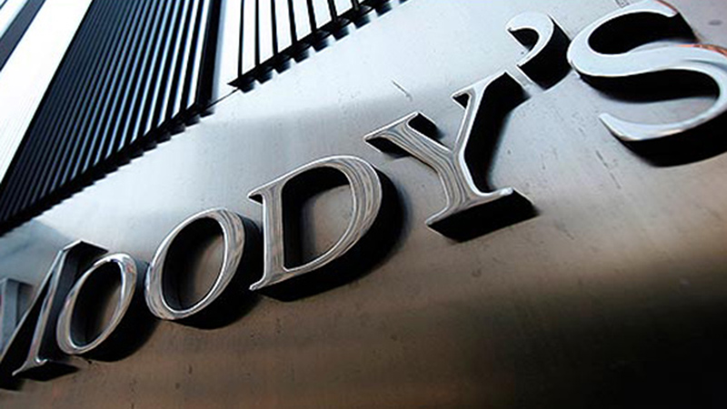 Moody's: Власти Турции могут принять меры, чтобы помешать выводу депозитов в иностранной валюте