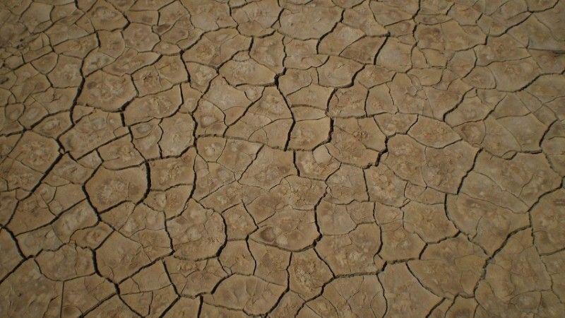 Турция переживает самую тяжёлую засуху за 44 года
