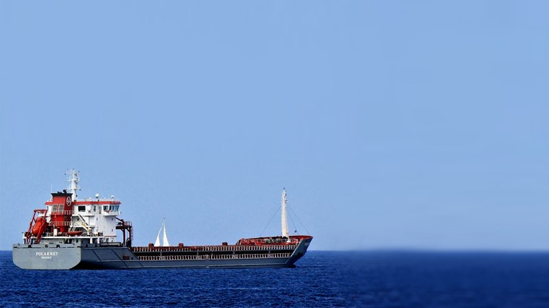 Первый турецкий сухогруз доставил в порт назначения зерно с Украины