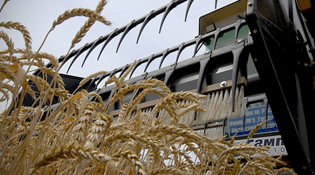 Столтенберг: НАТО поддерживает усилия Турции по обеспечению вывоза зерна с Украины