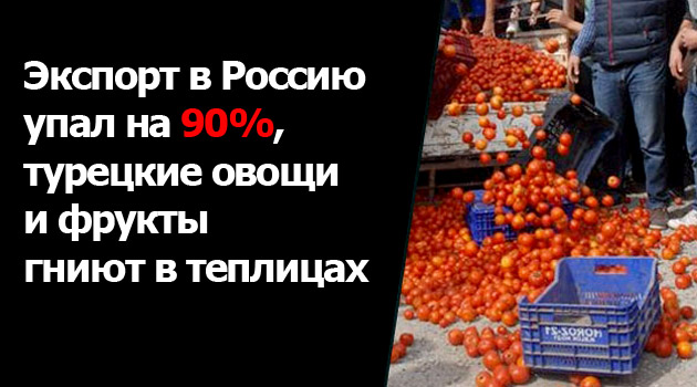 Экспорт в Россию упал на 90%, турецкие овощи и фрукты гниют в теплицах