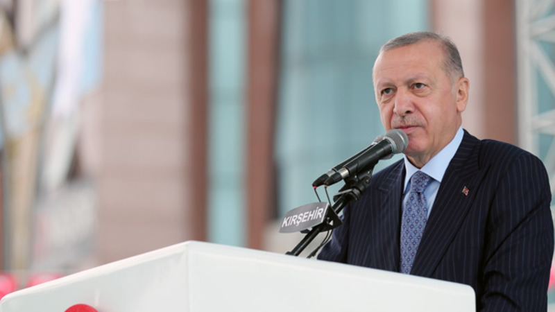 Эрдоган: Турция хорошо справилась с пандемией COVID-19