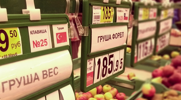 Состоялась первая встреча Турции и РФ по сельскому хозяйству