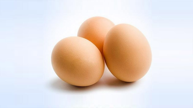 Россельхознадзор разрешил семи предприятиям Турции поставлять в РФ инкубационные яйца