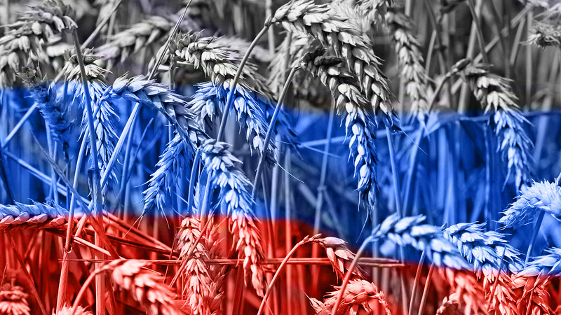 Турция хочет, чтобы зерно на мировые рынке доставлялось и из России