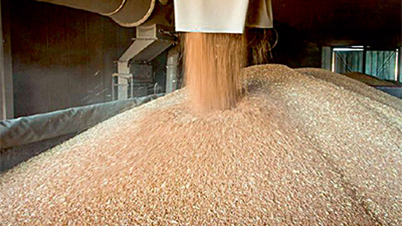 С Украины за неделю реализации "продуктовой сделки" вывезено свыше 300 тыс. тонн зерна