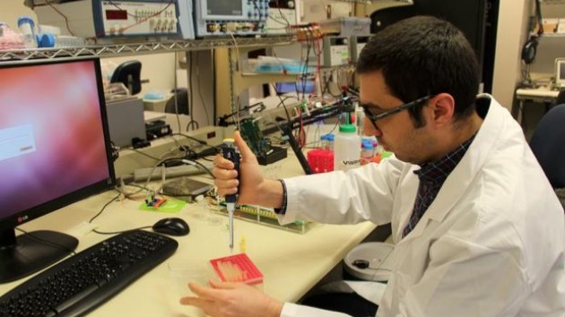 Турецкий исследователь разработал микрочип для лечения бактериальных инфекций