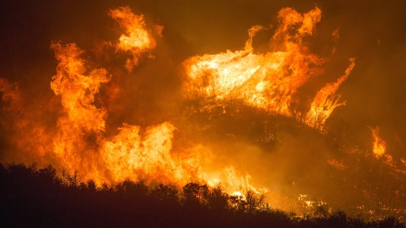 В Турции в этом году лесные пожары уничтожили 4 тыс. 298 гектаров земли