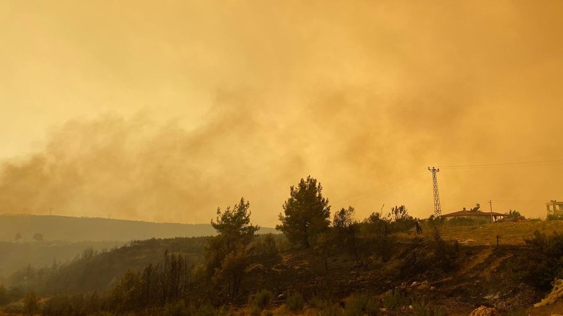В Турции локализованы 57 из 71 очага возгорания лесных пожаров