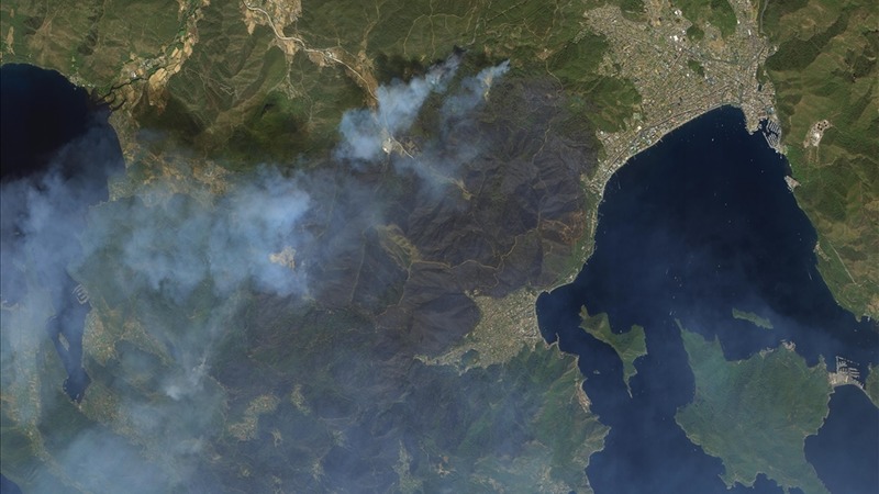 Турецкие космические спутники отслеживают последствия лесных пожаров