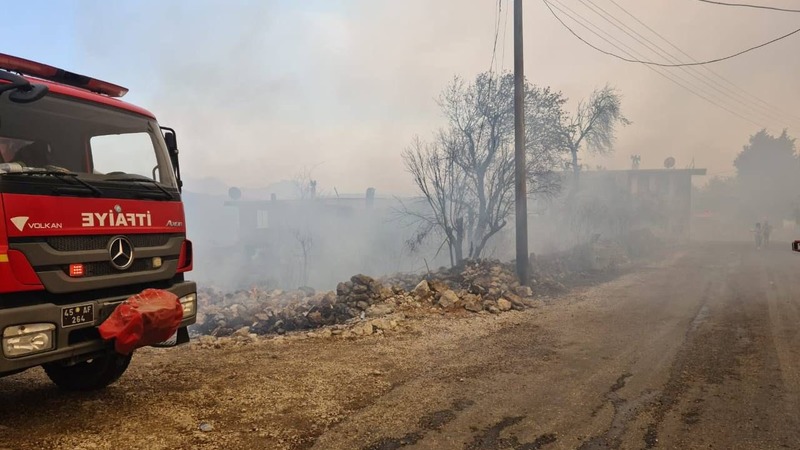 СМИ: За поджоги лесов в Турции взяла на себя ответственность связанная с РПК организация