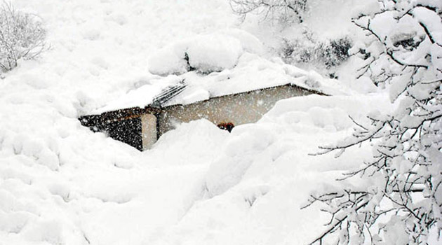 В Ване снежная лавина завалила 7 домов