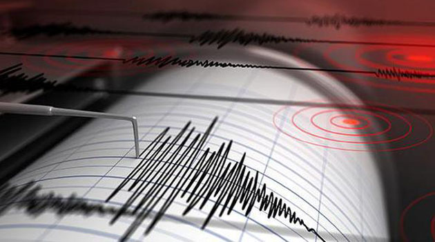 В Турции произошло землетрясение магнитудой 5,0
