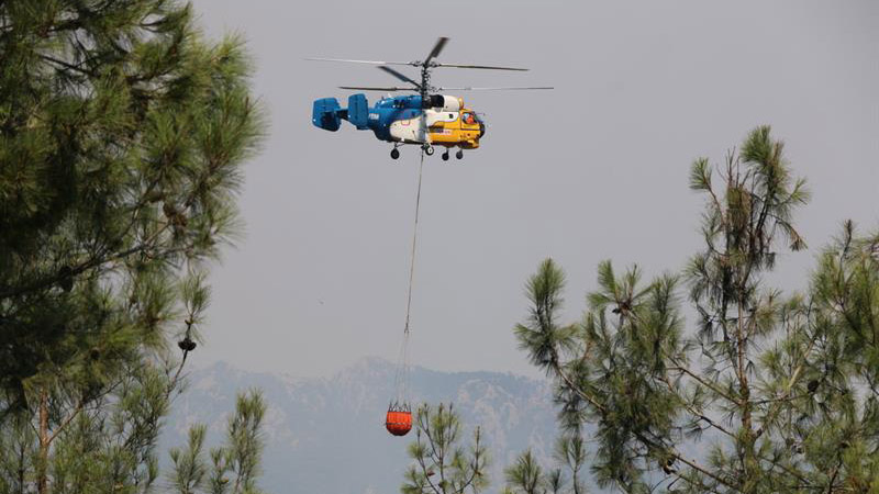 Турция подключилась к тушению пожара в боржомском лесу Грузии